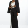 Clean Tailored Color Block Wide Leg Pants