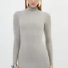 Contour Jersey High Neck Long Sleeve Mini Dress