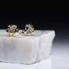 Hand Set European Crystal Sprinkle Stud Earrings