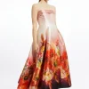 Petite Placed Floral Print Woven Prom Maxi Dress
