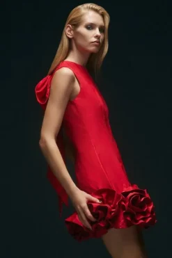 Drama Taffeta Rosette Woven Mini Dress With Bow Detail