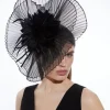Mesh Detail Fascinator
